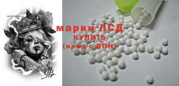 гашик Аркадак