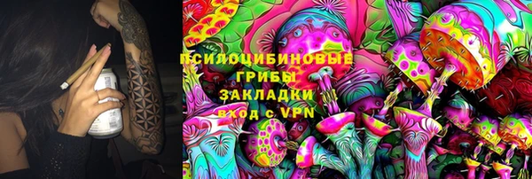 спайс Арсеньев