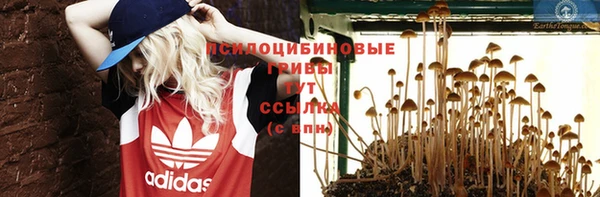 мет Армянск