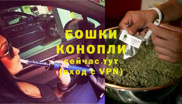 гашик Аркадак
