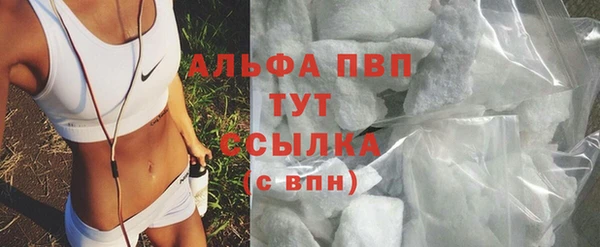 спайс Арсеньев