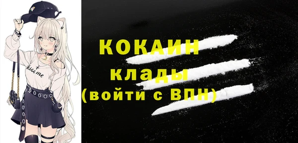 гашик Аркадак