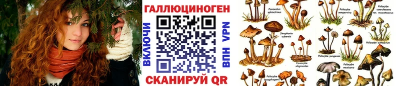 наркошоп Майкоп Галлюциногенные грибы Psilocybe